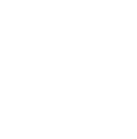 S4 1